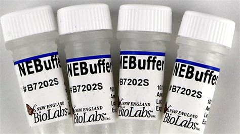 neb enzymes|NEBcutter V2.0.